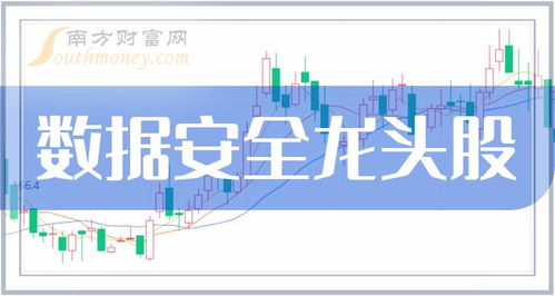 數(shù)據(jù)安全四大龍頭股 網(wǎng)絡(luò)與信息安全軟件開發(fā)企業(yè)盤點(diǎn)