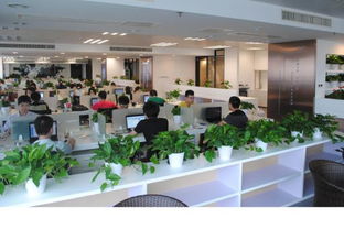 在溫暖的團隊中砥礪前行 如何看待‘零年終獎’與職業發展